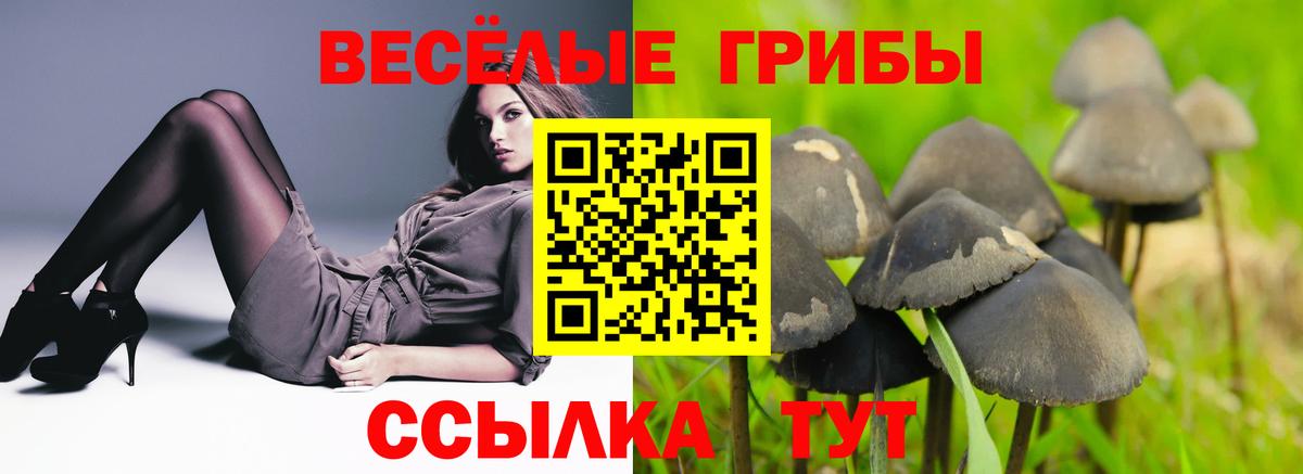 Артёмовский  Галлюциногенные грибы Cubensis  сколько стоит  Вход с VPN 